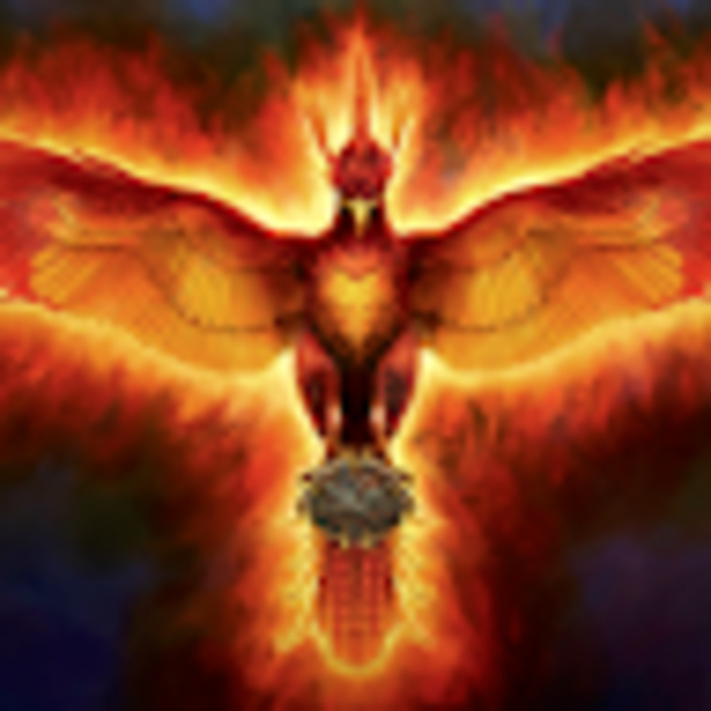 Meet your Posher, Fenix